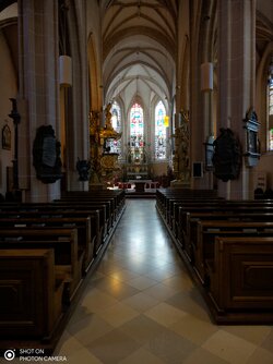 IMG_20250725_085229.jpg