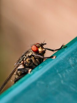 IMG_20250724_165159.jpg