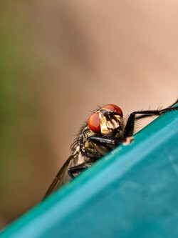 IMG_20250724_165211.jpg