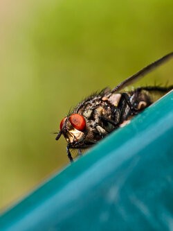 IMG_20250724_165226.jpg