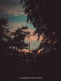 IMG_20250725_050558 (1).jpg