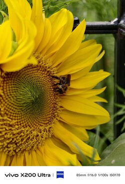 IMG_20250726_193225.jpeg