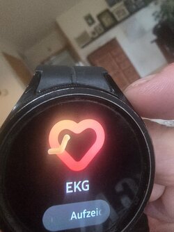 20250726_202811.jpg