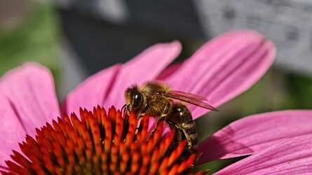 IMG_20250723_113520.jpg