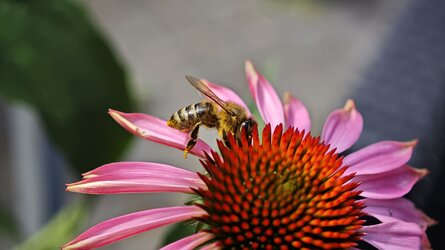 IMG_20250723_113344.jpg