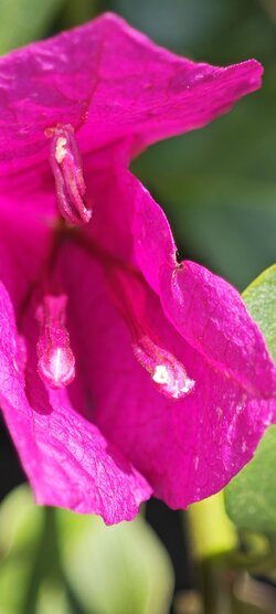 IMG_20250727_123521.jpg
