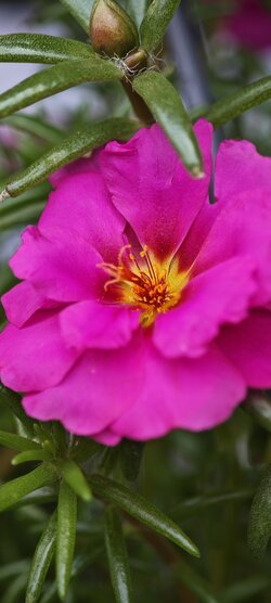 IMG_20250727_131320.jpg