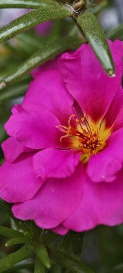 IMG_20250727_131328.jpg