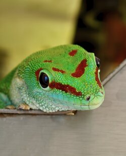 IMG_20250727_112502.jpg