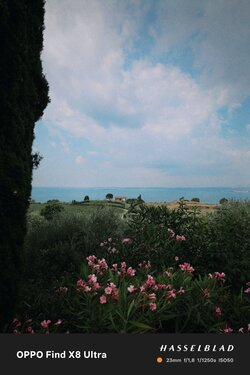 IMG_20250727_144950.jpg