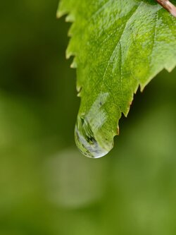 IMG_20250727_110130.jpg