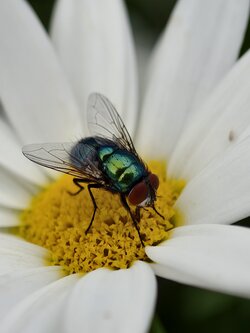 IMG_20250726_162146.jpg