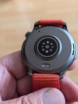 PXL_20250727_131702870.jpg
