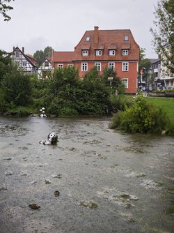 IMG_20250727_120001.jpg