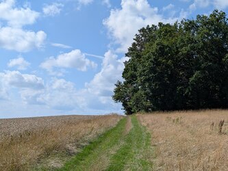 PXL_20250727_133145131.jpg