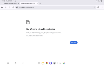 Screenshot_20250728_065506_Chrome.png