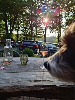 20250726_191215329.JPG