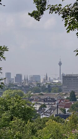 IMG_20250726_125340.jpg