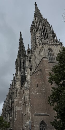 IMG_2174.jpeg