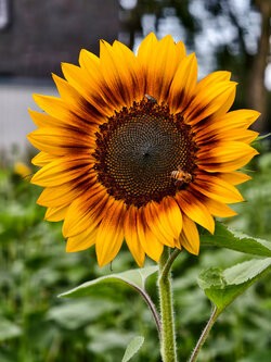 IMG_20250728_162019.jpg