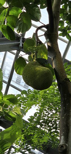20250728_152316(1).jpg