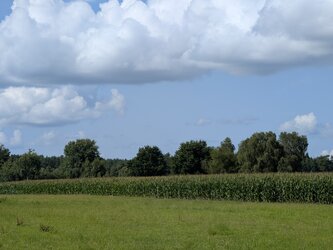 PXL_20250728_145558855.MP.jpg