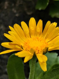 IMG20250728185731~2.jpg