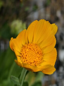 IMG20250728185659~2.jpg