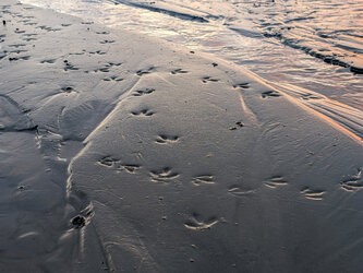 PSX_20250727_224725.jpg