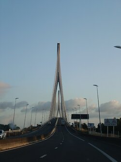 20250715_065035271.JPG