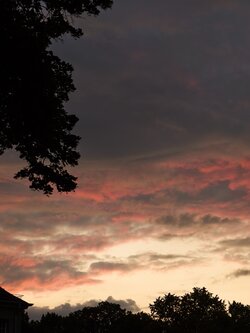IMG_20250728_212842.jpg