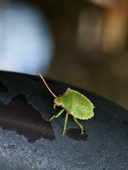 IMG_20250726_133844.jpg