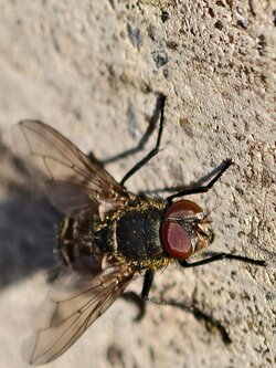 IMG_20250723_075130.jpg