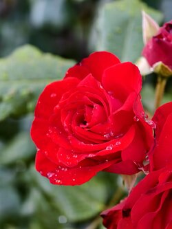 IMG_20250723_074452.jpg