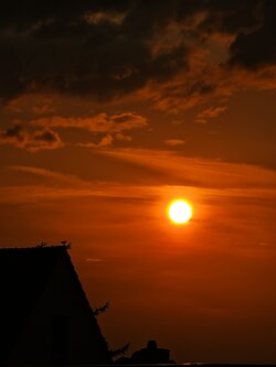 IMG_20250714_205906.jpg