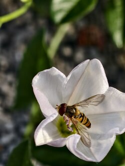 IMG_20250714_074822.jpg