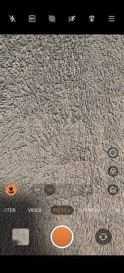 1000076982.jpg