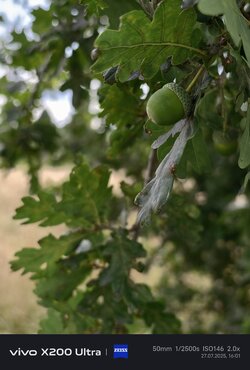 IMG_20250727_160153.jpg
