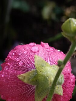 IMG20250729112559~2.jpg