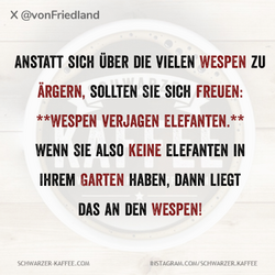 Quotes-Creator-com.ist_.quotescreator-1753630956292-scaled (1).png