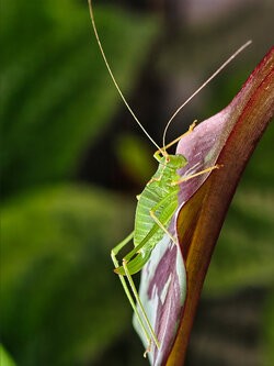 IMG_20250729_090357.jpg
