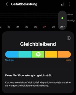 Screenshot_20250729_190542_Samsung Health.jpg