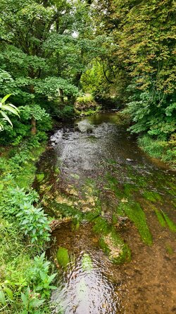 IMG_20250724_123007.jpg