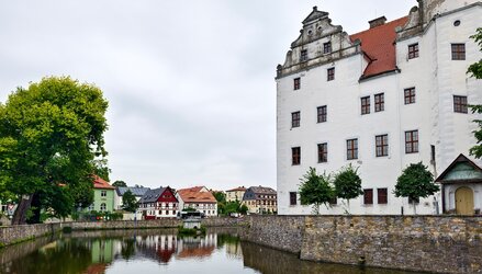 IMG_20250724_125853.jpg