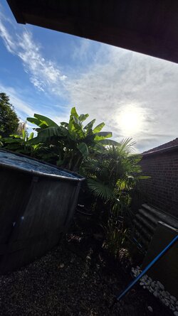 20250721_183959.jpg