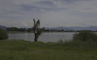 IMG_20250720_143218_RCD+Bilinear.jpg
