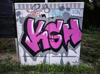IMG_20250729_214634.jpg