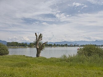 IMG_20250720_143218_C1.jpg