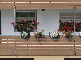 20250730_110408.jpg