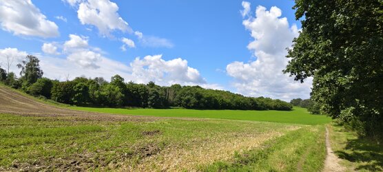 IMG_20250730_110409.jpg